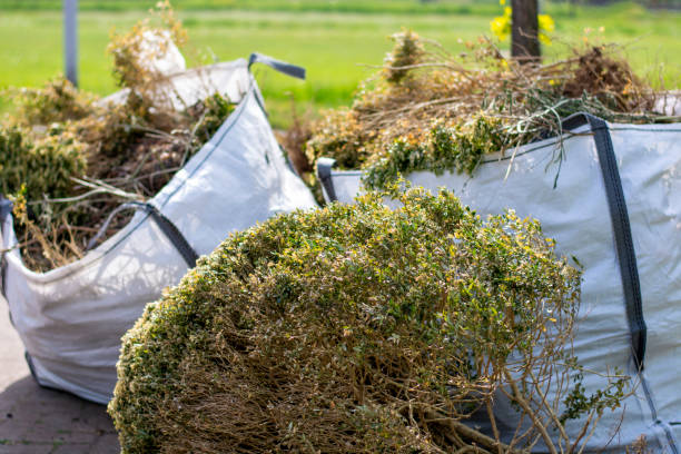 Best Basement Cleanout Services  in Norwood, NY