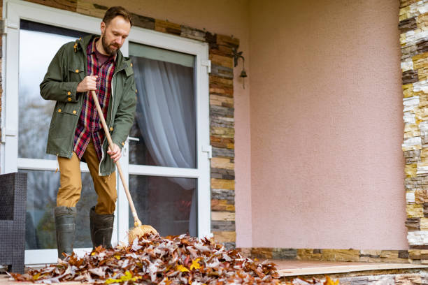 Best Junk Hauling Services  in Norwood, NY